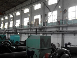 �����ȵ糧